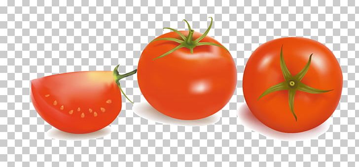 Plum Tomato Bush Tomato Vegetable PNG, Clipart, Bush Tomato, Clip, Clip Vector, Cut Tomatoes, Diet Food Free PNG Download