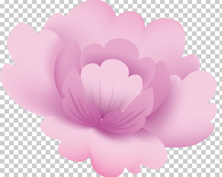 Rose Peony Herbaceous Plant Close-up Petal PNG, Clipart, Closeup, Corner Flower, Corner Vector, Decorative Motifs, Flower Free PNG Download