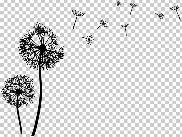 Wall Decal Drawing Photography PNG, Clipart,  Free PNG Download