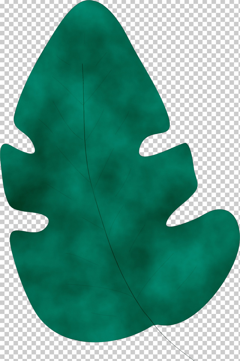Leaf Green M-tree Tree Science PNG, Clipart, Biology, Green, Leaf, Mtree, Paint Free PNG Download