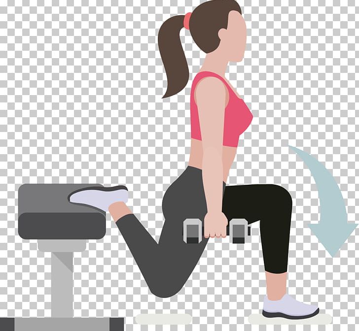 Dumbbell Physical Exercise Physical Fitness Weight Training PNG, Clipart, Arm, Balance, Beautiful Lady, Bench Press, Bodybuilding Free PNG Download