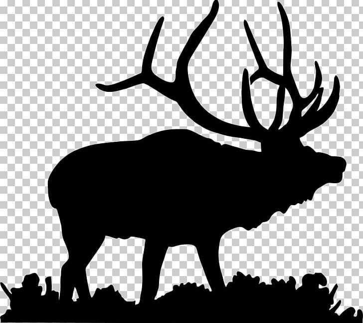 Elk Deer Moose PNG, Clipart, Animals, Antler, Black And White, Clip Art, Decal Free PNG Download