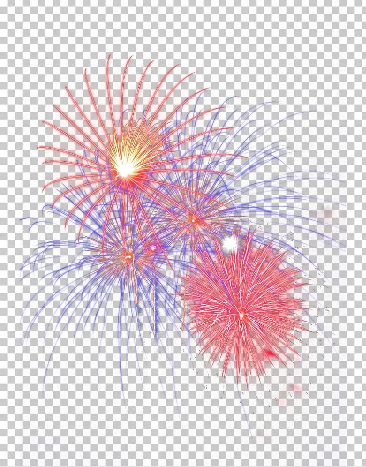 Petal Sky Close-up Pattern PNG, Clipart, Cartoon Fireworks, Circle, Closeup, Festival, Firework Free PNG Download