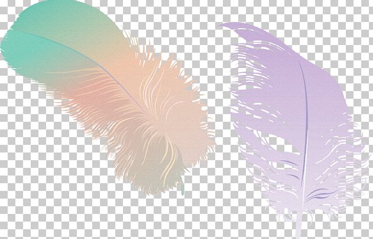 Feather PNG, Clipart, Animals, Designer, Feather, Lilac, Net Free PNG Download