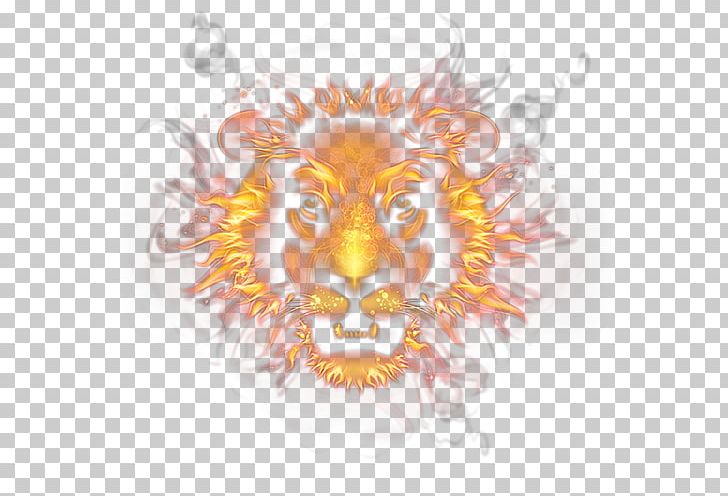 Lion Flame Fire PNG, Clipart, Animal, Animals, Big Cats, Carnivora, Carnivoran Free PNG Download