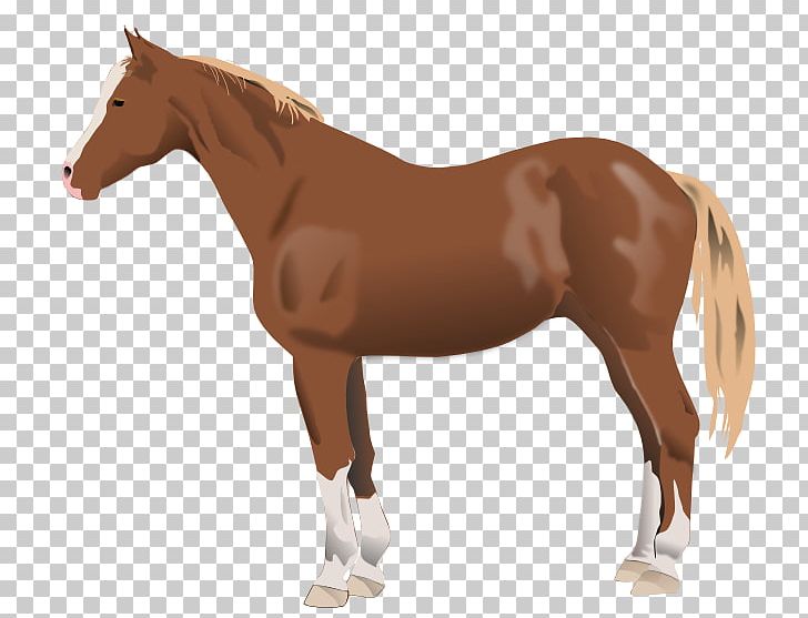 Mustang American Paint Horse American Quarter Horse Mare Stallion PNG, Clipart, Animal, Animal Farm, Animal Figure, Black, Bridle Free PNG Download