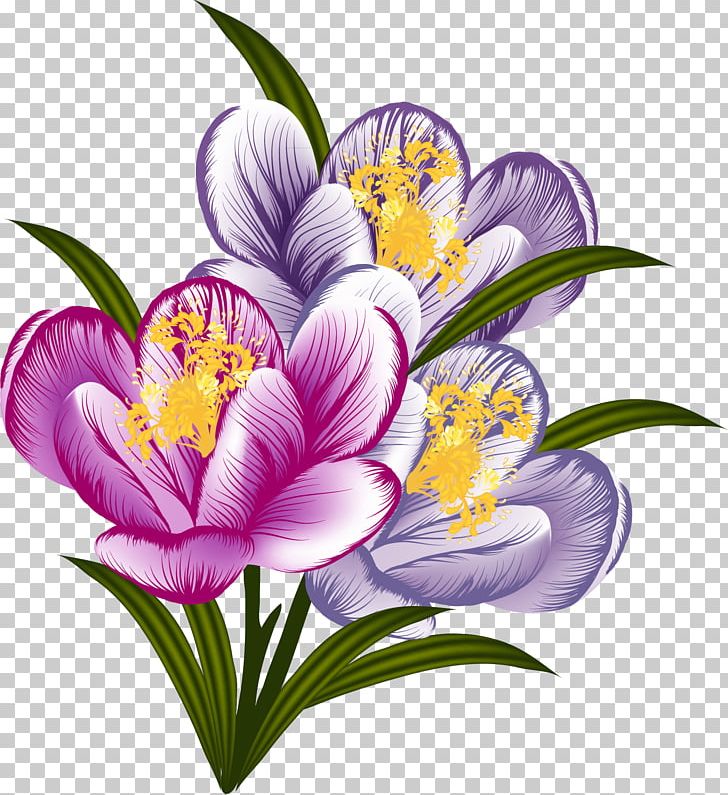Crocus Flower Floral Design PNG, Clipart, Art, Crocus, Cut Flowers, Drawing, Fleur Free PNG Download