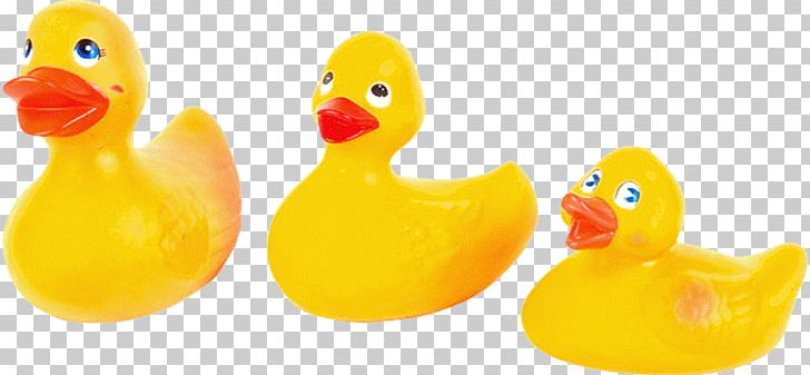 Toy Yellow PNG, Clipart, Beak, Bird, Chart, Color, Data Free PNG Download