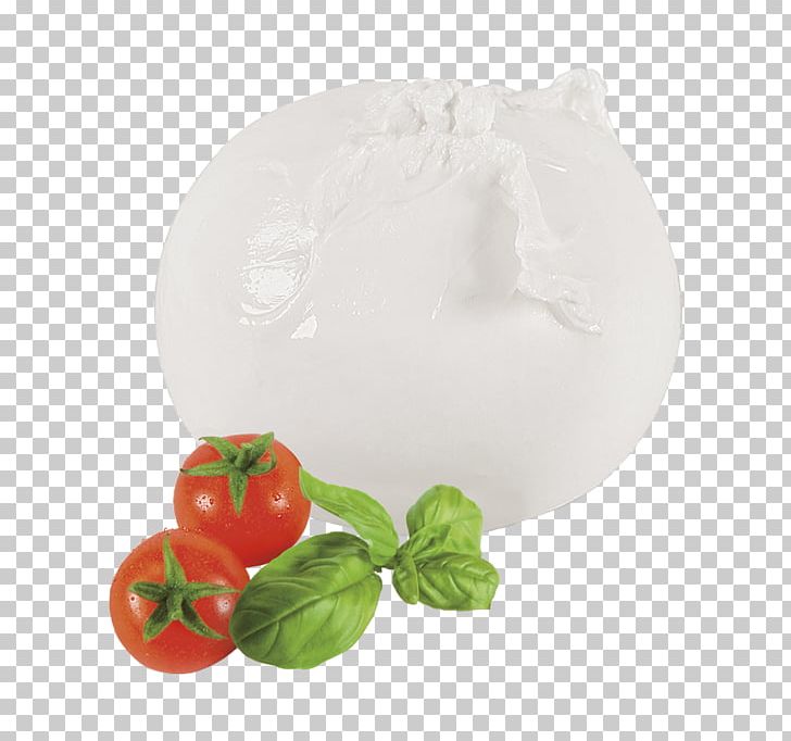 Buffalo Mozzarella Water Buffalo Appellation D'origine Protégée Basil PNG, Clipart,  Free PNG Download