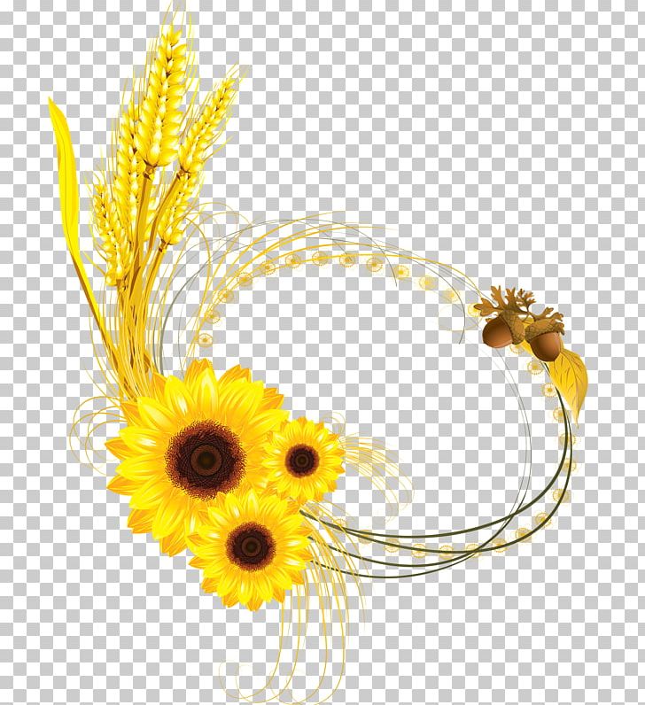 Common Sunflower Euclidean PNG, Clipart, Border, Border Frame, Certificate Border, Cut Flowers, Daisy Family Free PNG Download