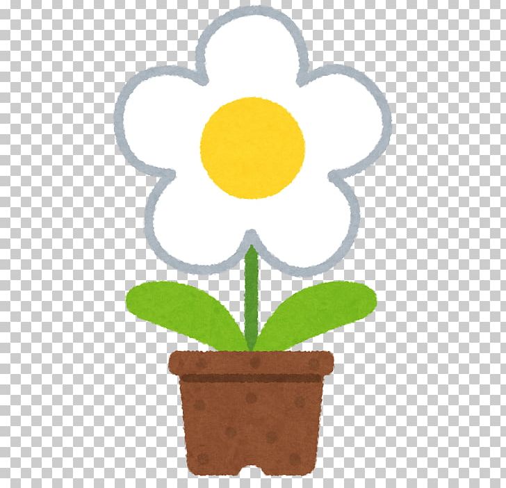 Gonai Community Center Flower White Yellow Color PNG, Clipart, Blue, Color, Flower, Flowering Plant, Flowerpot Free PNG Download