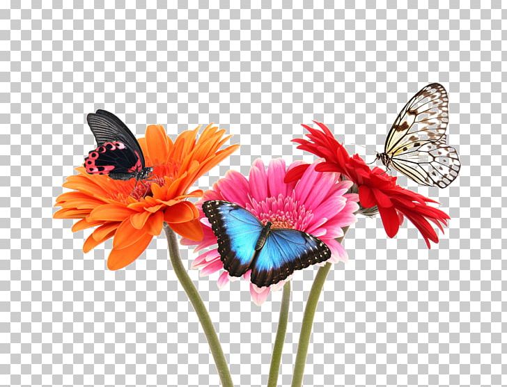 Monarch Butterfly Flower Stock Photography Fototapet PNG, Clipart, Brush Footed Butterfly, Butterfly, Color, Cut Flowers, Flower Free PNG Download