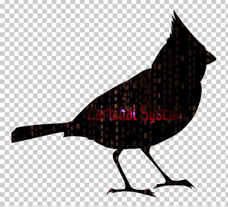 Northern Cardinal Bird PNG, Clipart, Animals, Beak, Bird, Birdwatching, Cardinal Free PNG Download