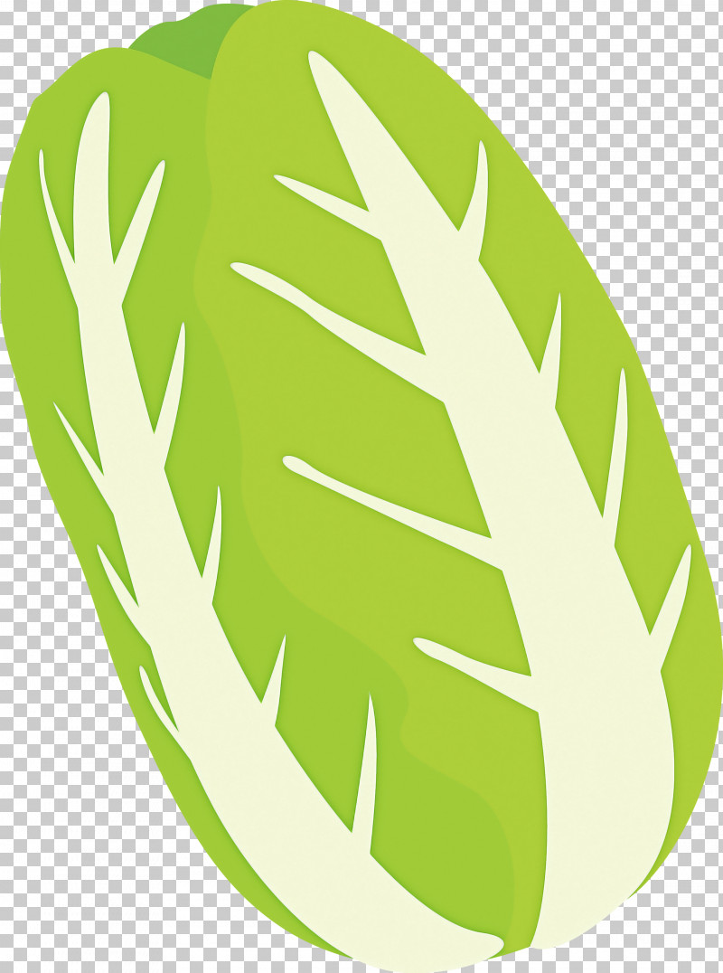 Nappa Cabbage PNG, Clipart, Green, Leaf, Leaf Vegetable, Logo, Monstera Deliciosa Free PNG Download