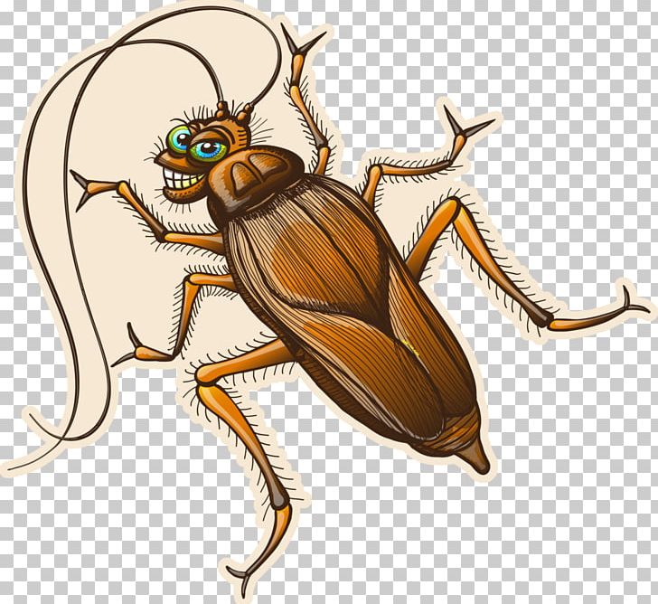 Cockroach Insect Pest Drawing PNG, Clipart, Animals, Antenna, Arthropod, Beetle, Brown Cockroach Free PNG Download