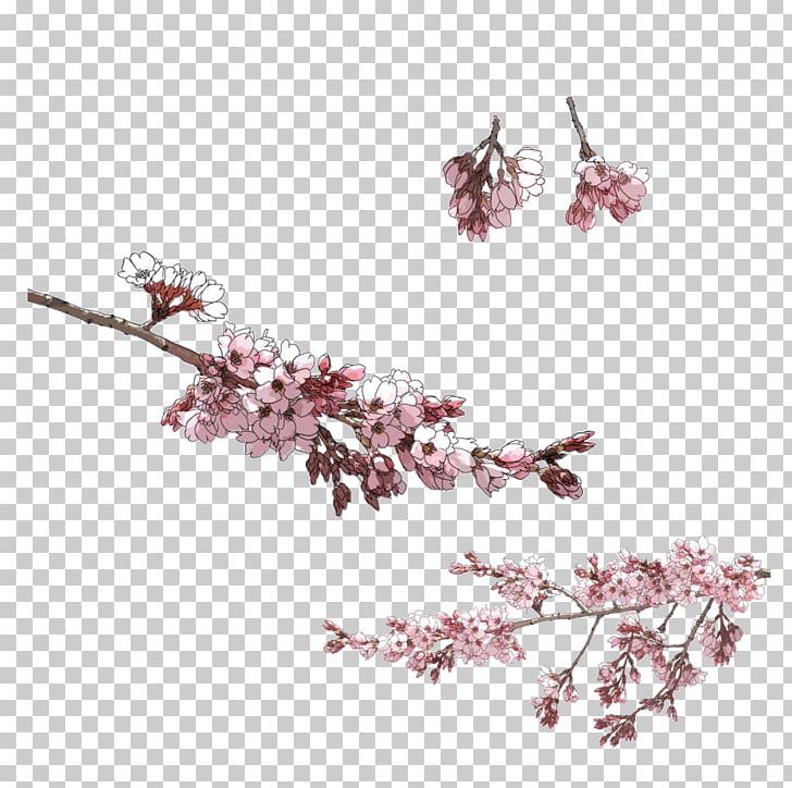 Drawing PNG, Clipart, Adobe Illustrator, Blooming, Branch, Chart, Cherry Blossom Free PNG Download