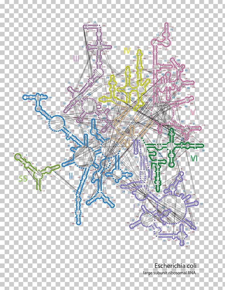 Line Drawing Map PNG, Clipart, Area, Art, Branch, Diagram, Drawing Free PNG Download