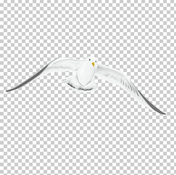 Beak Pattern PNG, Clipart, Abstract Pattern, Animal, Animals, Beak, Bird Free PNG Download