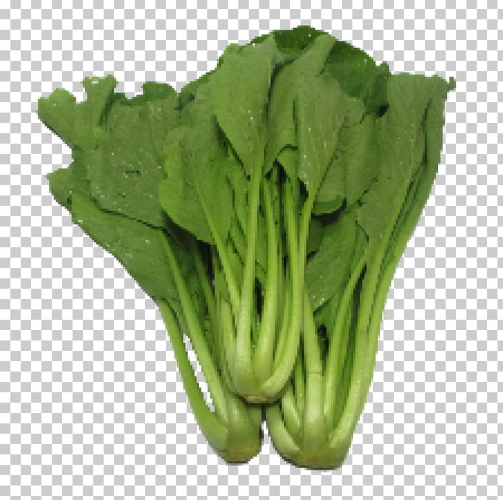 Choy Sum Leaf Vegetable Chinese Broccoli Lettuce PNG, Clipart, Bok Choy, Broccoli, Chard, Chinese Broccoli, Chinese Cabbage Free PNG Download