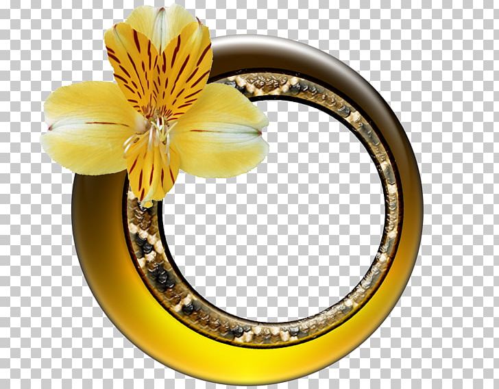 Gold Frames Flower PNG, Clipart, Body Jewelry, Circle, Flower, Glass, Gold Free PNG Download