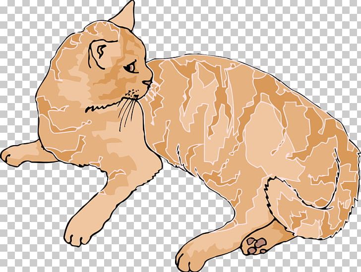 Kitten Siberian Cat Wildcat Tabby Cat PNG, Clipart, Animals, Big Cat, Big Cats, Black Cat, Carnivoran Free PNG Download