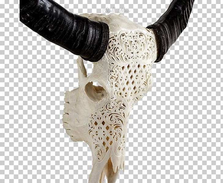 Skull Human Skeleton Horn Art PNG, Clipart, American Bison, Art, Bone, Carving, Centrepiece Free PNG Download