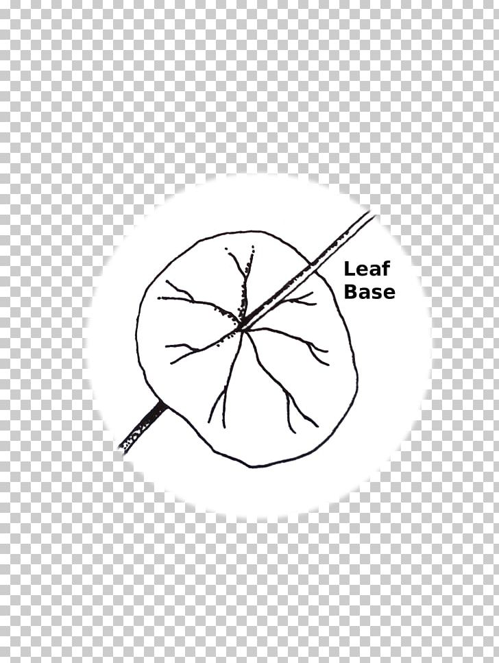 White Point Angle PNG, Clipart, Angle, Area, Black And White, Circle, Drawing Free PNG Download