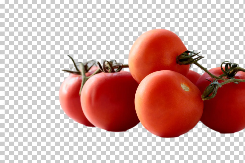 Tomato PNG, Clipart, Bush Tomato, Canning, Compote, Cooking, Datterino Tomato Free PNG Download