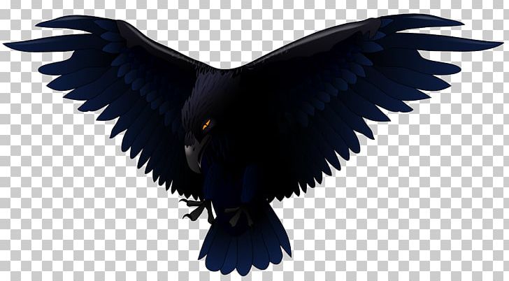 Common Raven Bird Euclidean PNG, Clipart, Beak, Bird, Bird Of Prey, Clipart, Clip Art Free PNG Download