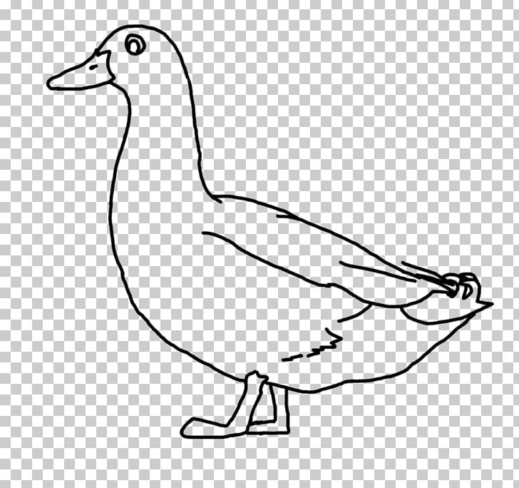 Donald Duck Drawing Line Art PNG, Clipart, Area, Art, Artwork, Beak, Bird Free PNG Download