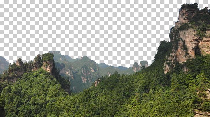 Zhangjiajie National Forest Park U5929u5b50u5c71u98a8u666fu533a Suoxiyu U067eu0627u0631u06a9 U062cu0646u06afu0644u06cc Wuling Mountains PNG, Clipart, Amusement Park, Biome, Famous, Forest, Forest Animals Free PNG Download
