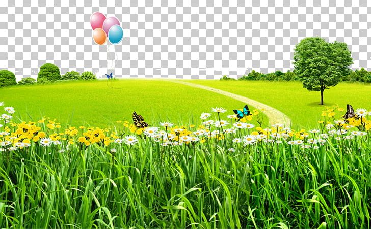Plants And Flowers PNG, Clipart, Balloon, Computer Wallpaper, Desktop Wallpaper, Farm, Flower Free PNG Download