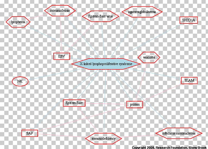 X-linked Recessive Inheritance X-linked Dominant Inheritance X Chromosome Egg Cell Dominance PNG, Clipart, Angle, Area, Circle, Diagram, Dominance Free PNG Download