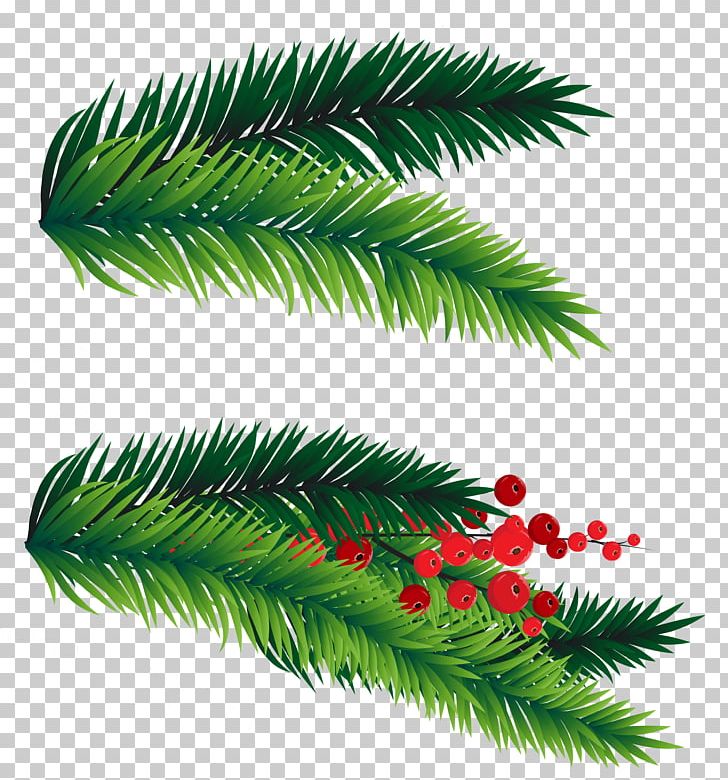 Christmas Tree Branch PNG, Clipart, Arecales, Branch, Christmas, Christmas Decoration, Christmas Elf Free PNG Download