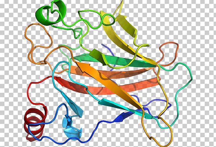 Line Point Organism PNG, Clipart, Agglutinin, Area, Art, Art Line, Artwork Free PNG Download