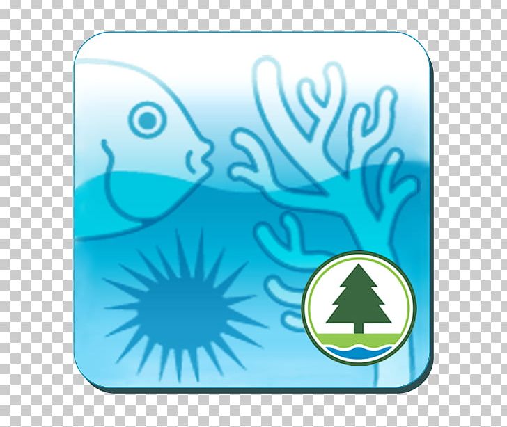 Reef Check Coral Reef 5.5 Conservation PNG, Clipart, Android, Aqua, Blue, Conservation, Coral Free PNG Download