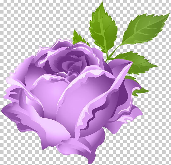 Rose Purple Flower PNG, Clipart, Art, Clip Art, Cut Flowers, Desktop Wallpaper, Flower Free PNG Download