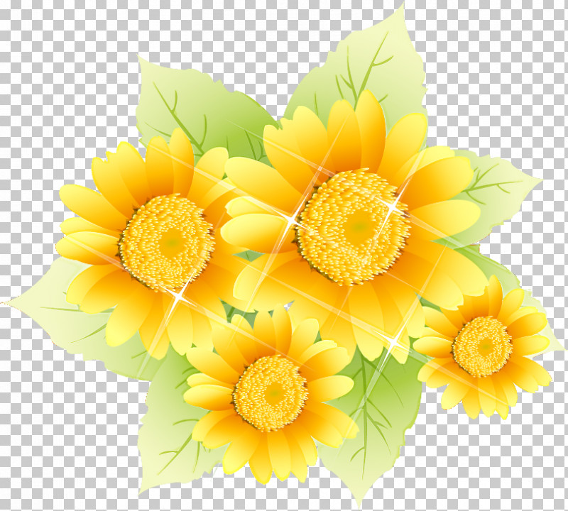 Sunflower PNG, Clipart, Artificial Flower, Bouquet, Cut Flowers, Daisy Family, English Marigold Free PNG Download