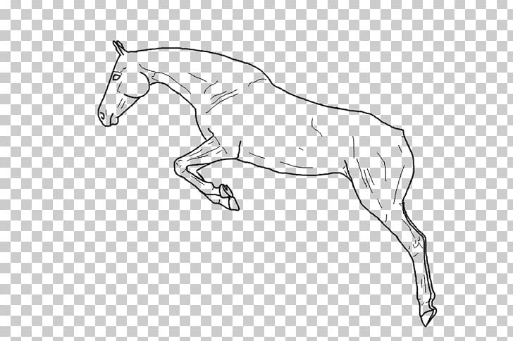 Mule Arabian Horse Foal Mustang Stallion PNG, Clipart, Angle, Arabian Horse, Arm, Artwork, Bit Free PNG Download