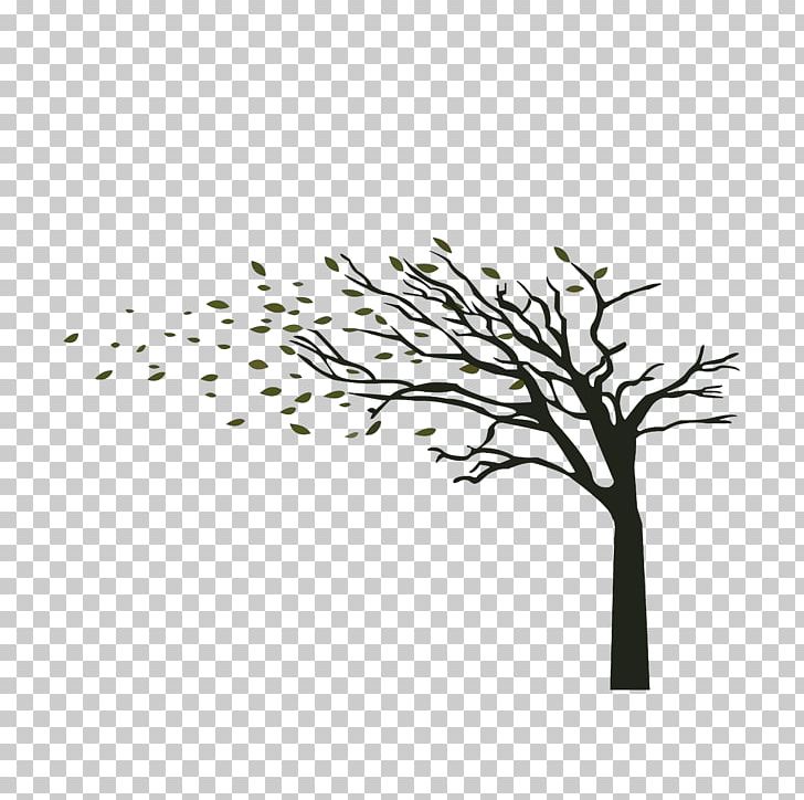 Tree Wind Branch Wall Decal PNG, Clipart, Autumn, Autumn Leaves, Banana Leaves, Black And White, Blew Free PNG Download
