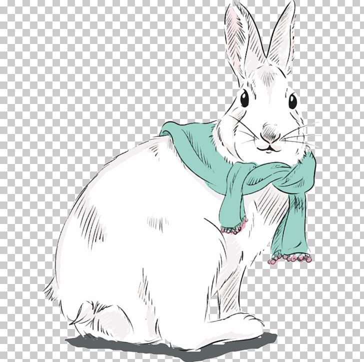 Domestic Rabbit Hare Drawing PNG, Clipart, Animal Figure, Animals, Artwork, Domestic Rabbit, Download Free PNG Download