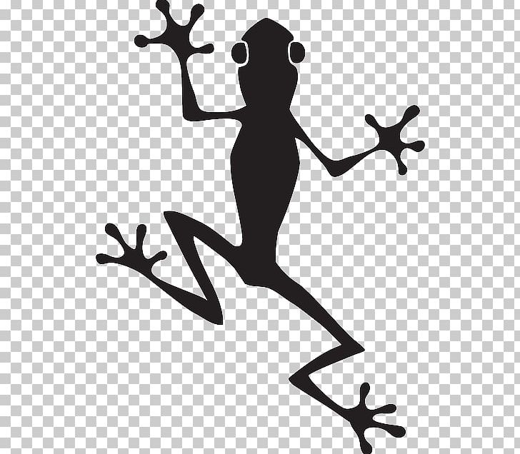 Frog Amphibians PNG, Clipart, Amphibians, Animals, Art, Black And White, Branch Free PNG Download