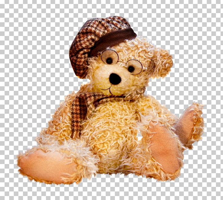 Teddy Bear Stuffed Toy Child PNG, Clipart, Animals, Beanie Babies, Bear, Bears, Child Free PNG Download