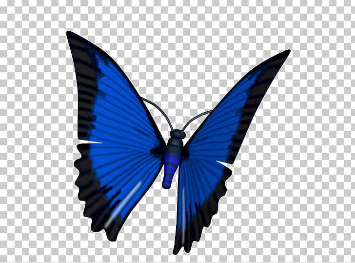 Butterfly Brush-footed Butterflies Animated Film 3D Computer Graphics Computer Animation PNG, Clipart, 3d Butterfly, 3d Computer Graphics, 3d Modeling, Animated Film, Apng Free PNG Download