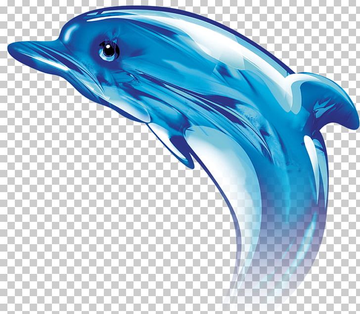Common Bottlenose Dolphin Tucuxi PNG, Clipart, Animals, Aqua, Beak, Blue, Cute Dolphin Free PNG Download