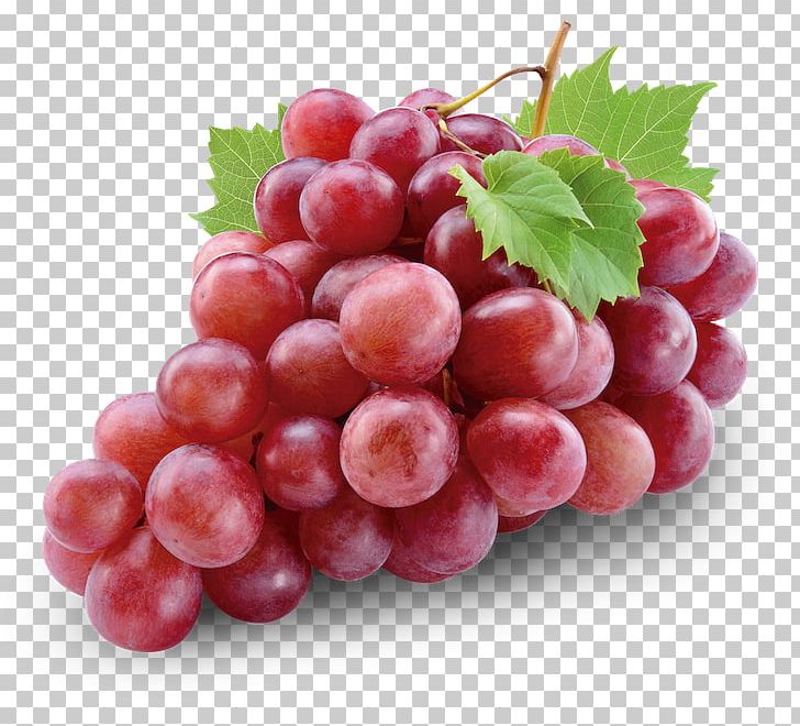 Common Grape Vine Red Wine Red Globe PNG, Clipart, Common Grape Vine, Cranberry, Flame Seedless, Food, Fruit Free PNG Download