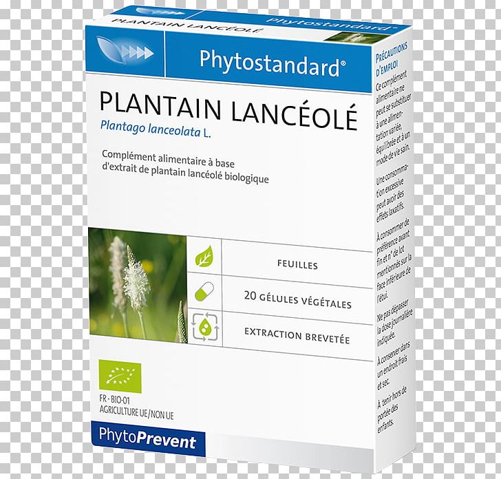 Dietary Supplement Pharmacy Morance Coneflower Capsule PNG, Clipart, Brand, California Poppy, Capsule, Coneflower, Dietary Supplement Free PNG Download