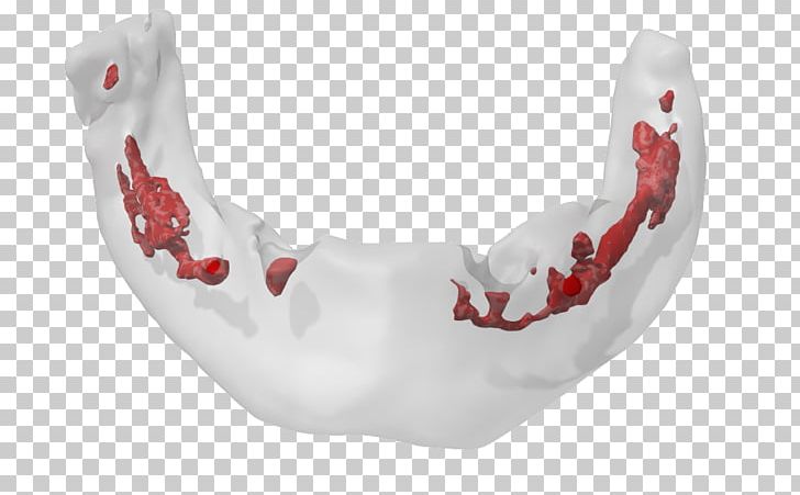 Jaw PNG, Clipart, Art, Jaw, Red, White Free PNG Download