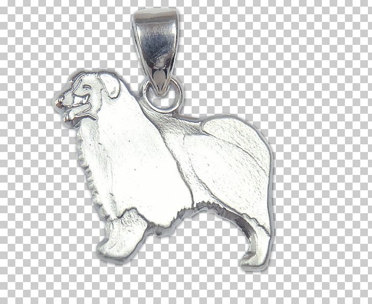 Locket Airedale Terrier Bearded Collie Australian Shepherd Charms & Pendants PNG, Clipart, Airedale Terrier, American Kennel Club, Australian Shepherd, Bearded Collie, Body Jewelry Free PNG Download