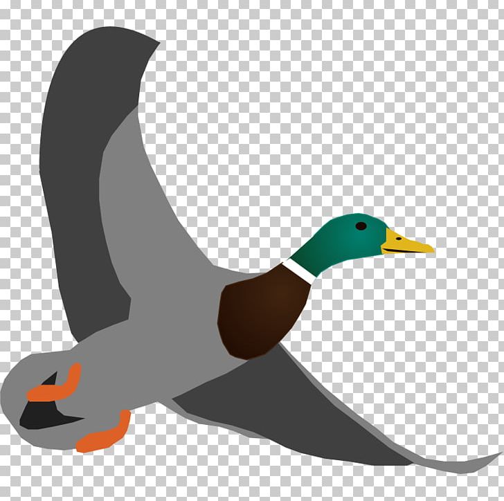 Mallard Duck Flightless Bird Beak PNG, Clipart, Animals, Beak, Bird, Duck, Ducks Geese And Swans Free PNG Download